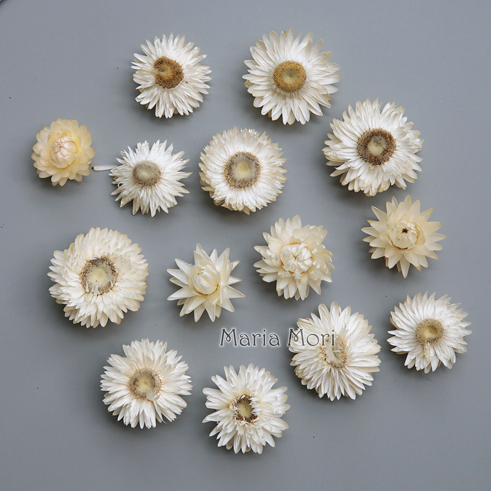 Candle Making Supplies Online - Natural Dried Colorful Chrysanthemum Wreath Handmade